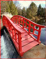 The Bridge Program (ACT, SAT & PSAT)
